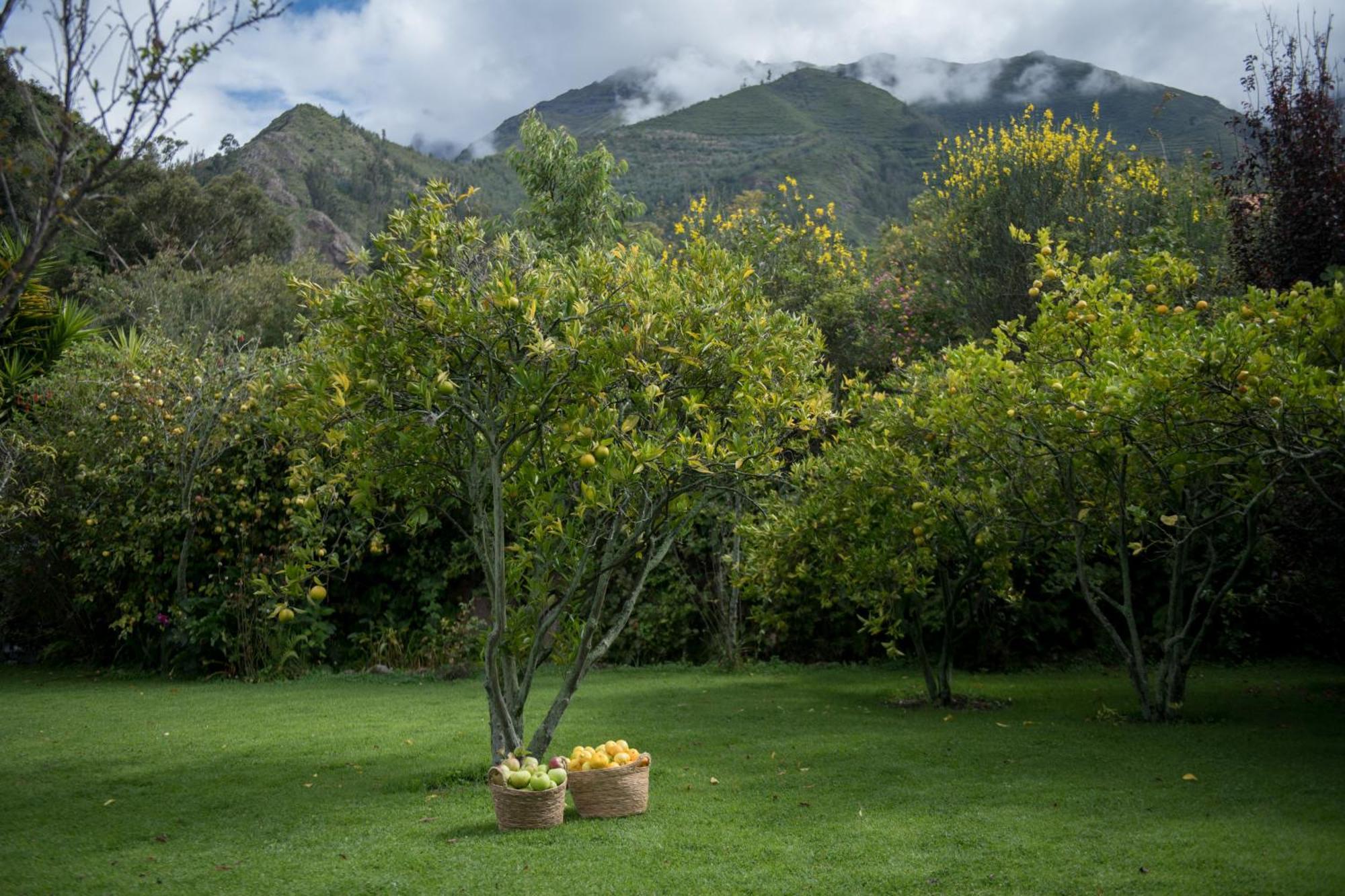 Andenia Boutique Hotel, Sacred Valley Urubamba Esterno foto